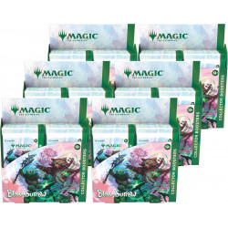 Bloomburrow - 6x Collector Booster Display