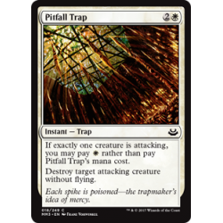 Pitfall Trap